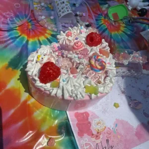 DIY Jewelry Box & Phone Case Decorating Workshop – Party Host Training Video